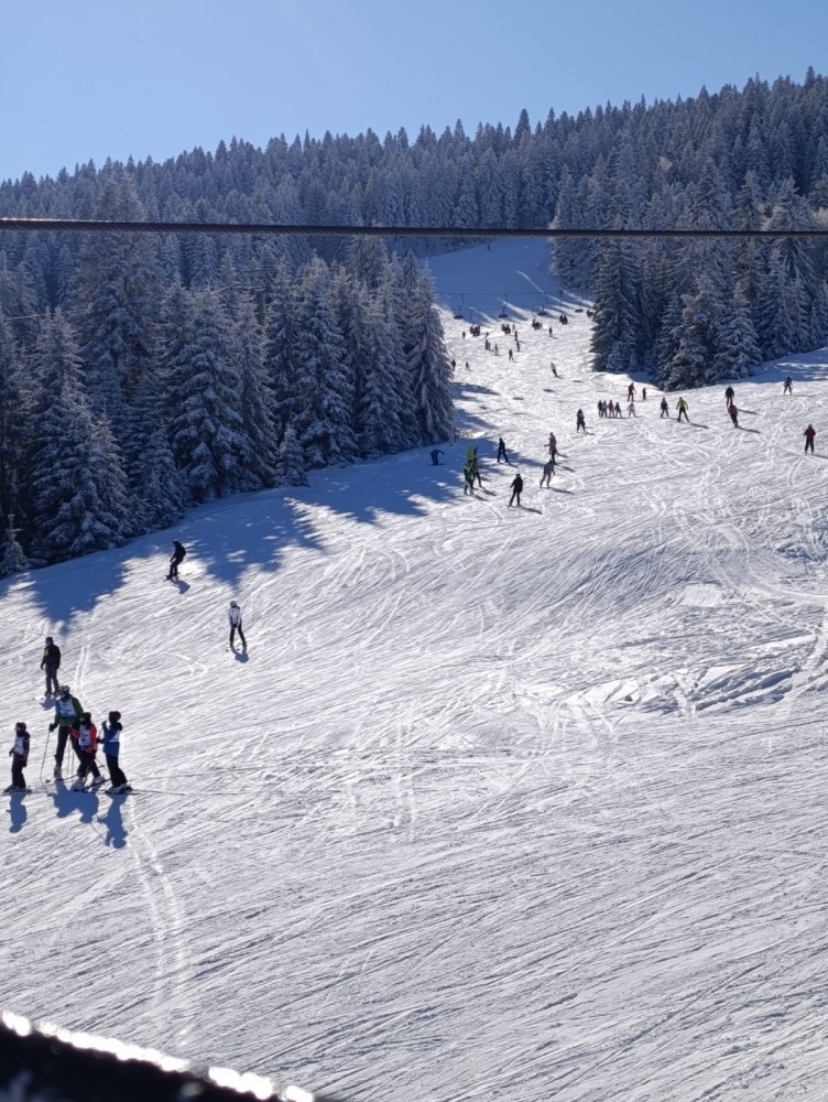 WhatsApp_Image_2026_01_09_at_08_.07 (1).jpeg